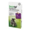 Drontal Plus For Dogs Bone Shaped 6 Pack -PawPal Shop 0003259 drontal plus for dogs bone shaped 6 pack 600