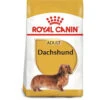 Royal Canin Dog - Dachshund Adult 1.5kg -PawPal Shop 0022098 royal canin dog dachshund adult 15kg