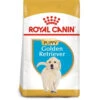 Royal Canin Dog - Golden Retriever Puppy 3kg 2 Royal Canin Dog - Golden Retriever Puppy 3kg -PawPal Shop 0022110 royal canin dog golden retriever puppy 3kg