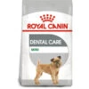 Royal Canin Dog - Mini Dental Care 3kg -PawPal Shop 0022157 royal canin dog mini dental care 3kg