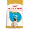 Royal Canin Dog - Pug Puppy 1.5kg 2 Royal Canin Dog - Pug Puppy 1.5kg -PawPal Shop 0022187 royal canin dog pug puppy 15kg