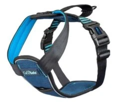 Company Of Animals CarSafe Crash Tested Harness Large