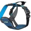 Company Of Animals CarSafe Crash Tested Harness Medium -PawPal Shop 0027574 company of animals carsafe crash tested harness medium 600