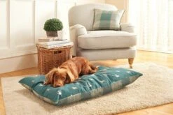 Danish Design Laura Ashley Park Dogs Deep Duvet Medium -PawPal Shop 0028004 danish design laura ashley park dogs deep duvet medium