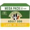 James Wellbeloved Dog - Adult Lamb Mega Pack Pouches 40x150g -PawPal Shop 0028922 james wellbeloved dog adult lamb mega pack pouches 40x150g 600