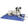 Scruffs Cooling Mat Blue 92x69cm L -PawPal Shop 0029161 scruffs cooling mat blue 92x69cm l 600